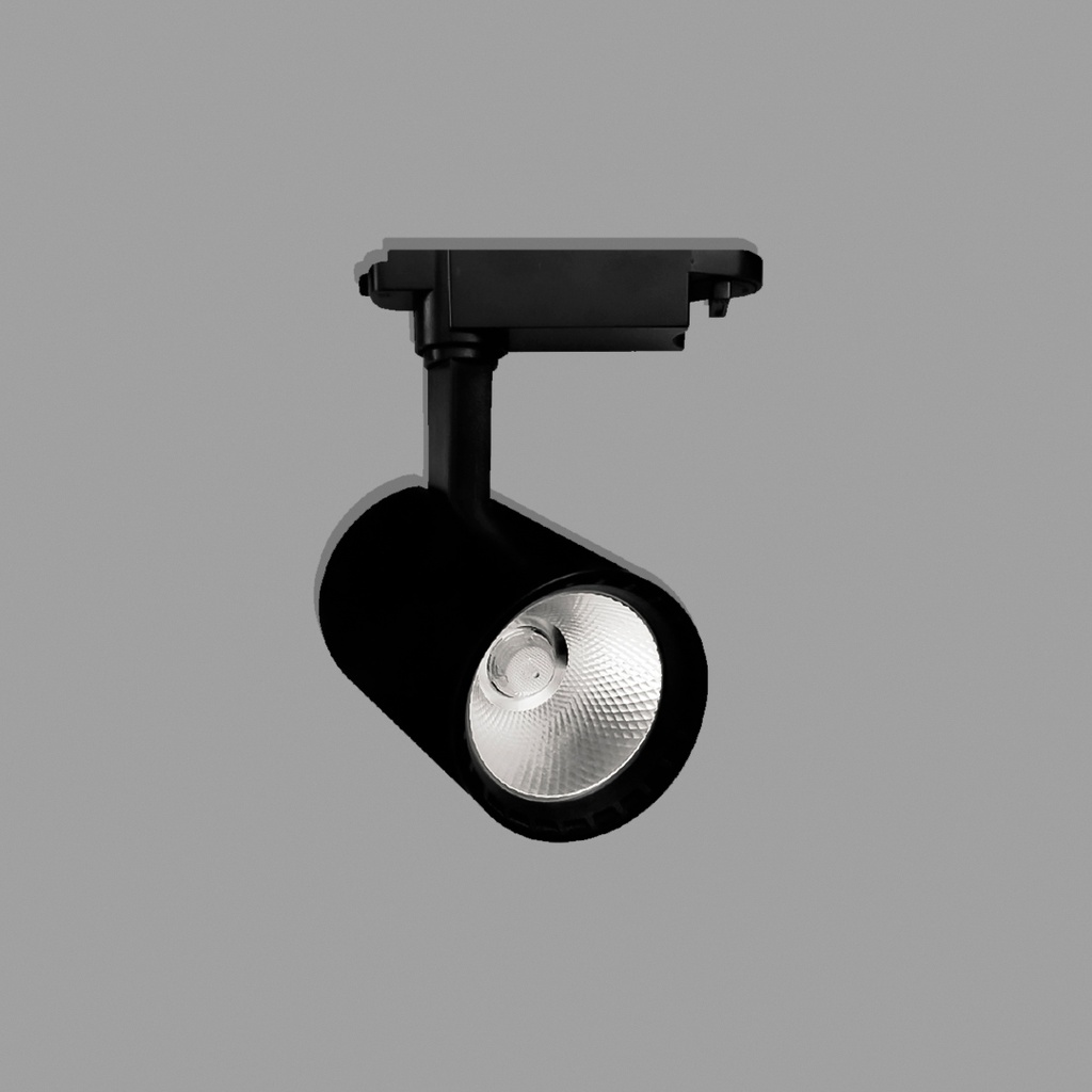 Track Light 10W