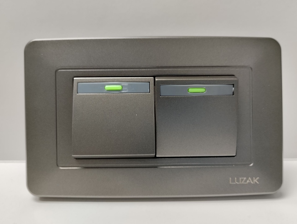 Toma Interruptor Doble ECOZ gris