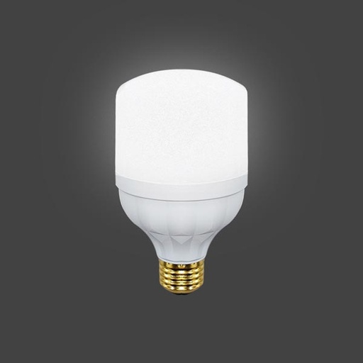 [DS62W] Bombillo Led 62W Diamond