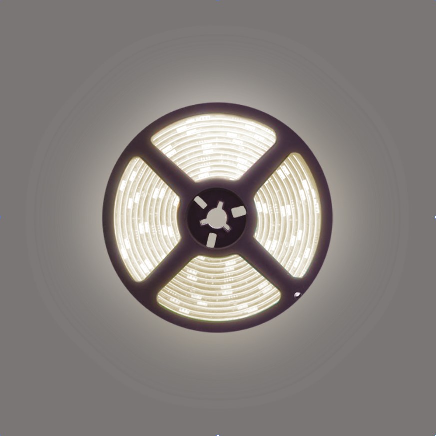 Cinta Led Strip 2835 240L 12V 5M