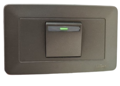 [EGTTJ8Z01G] Toma Interruptor ECOZ gris